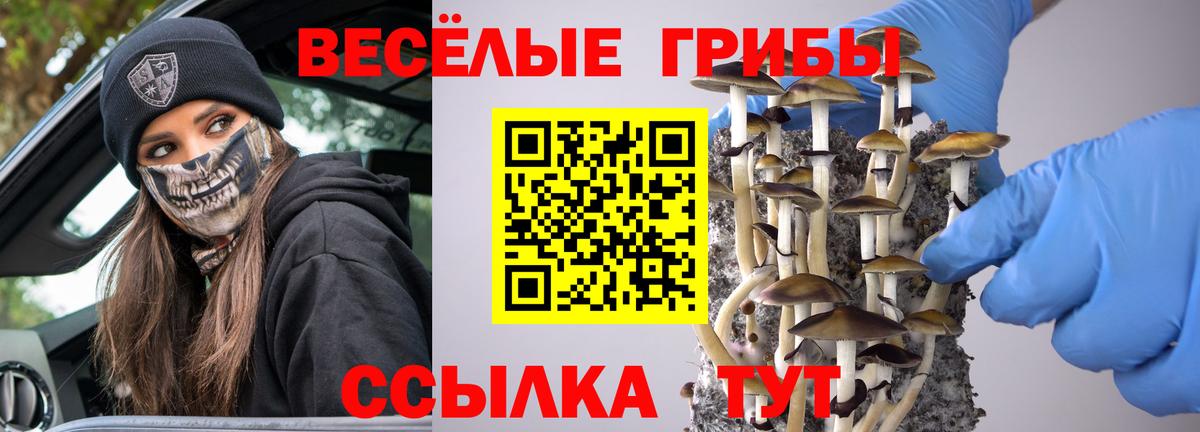 Тамбов  Галлюциногенные грибы Psilocybe  Вход с VPN 